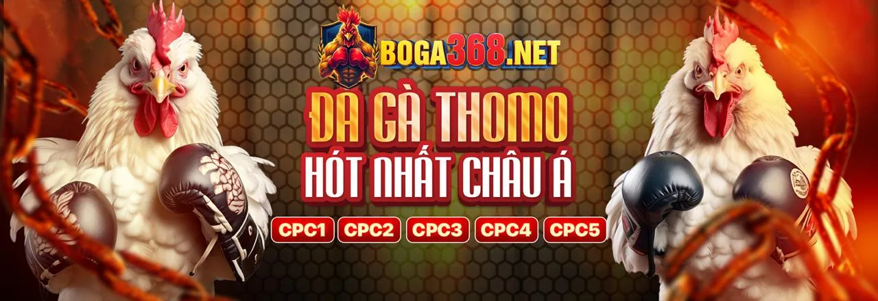 Giao diện tỷ lệ cược cạnh tranh của betvnd8 casino