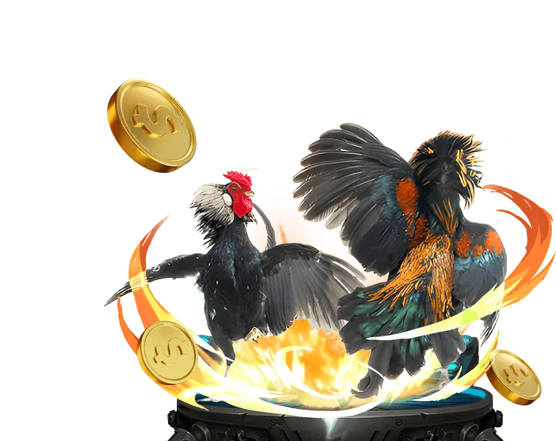 Cờ bạc có trách nhiệm betvnd8 casino
