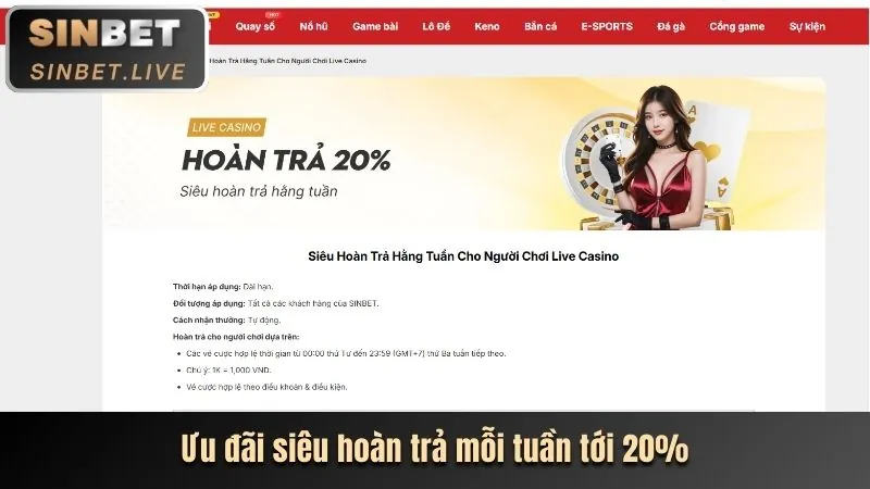 Hướng dẫn tham gia Câu lạc bộ VIP betvnd8 casino và tích lũy điểm